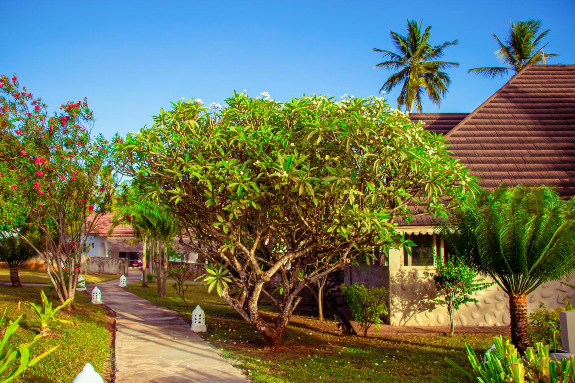 Mandarin Resort Zanzibar Kizimkazi Ngoại thất bức ảnh